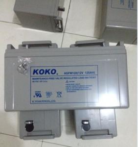 KOKO蓄电池12V120AH